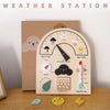Wooden Weather Station Board