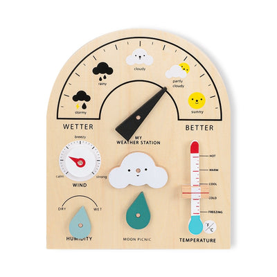 Wooden Weather Station Board
