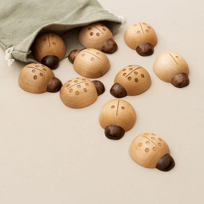 Wooden Ladybird Counting Board